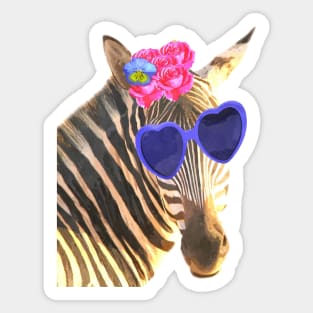 Cute Zebra Illustration Sticker